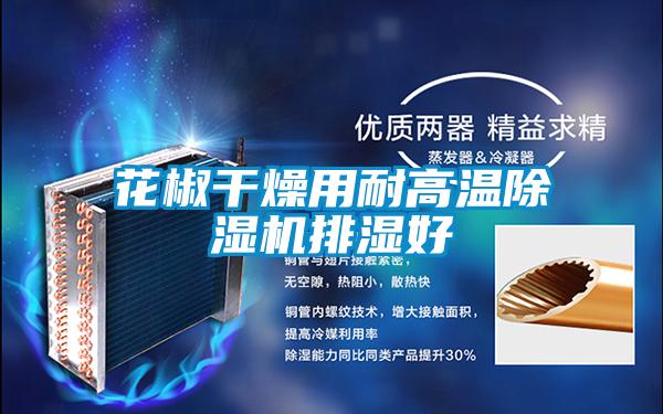 花椒干燥用耐高温樱桃TV在线观看机排湿好