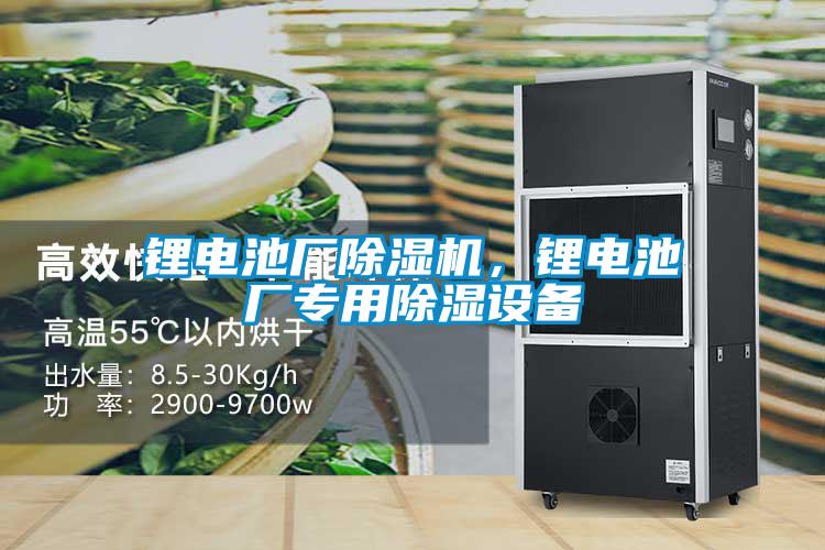 锂电池厂樱桃TV在线观看机，锂电池厂专用樱桃TV在线观看设备