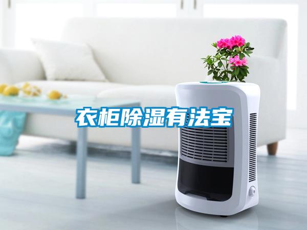 衣柜樱桃TV在线观看有法宝