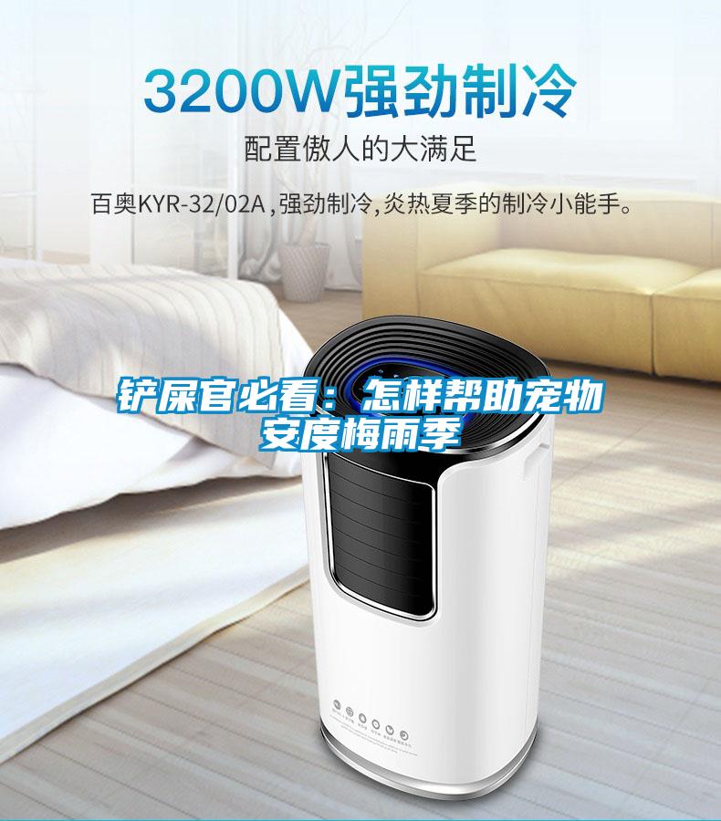 铲屎官必看：怎样帮助宠物安度梅雨季