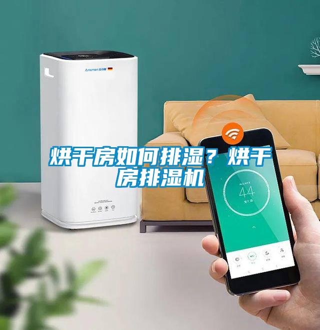 烘干房如何排湿？烘干房排湿机