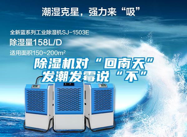 樱桃TV在线观看机对“回南天”发潮发霉说“不”