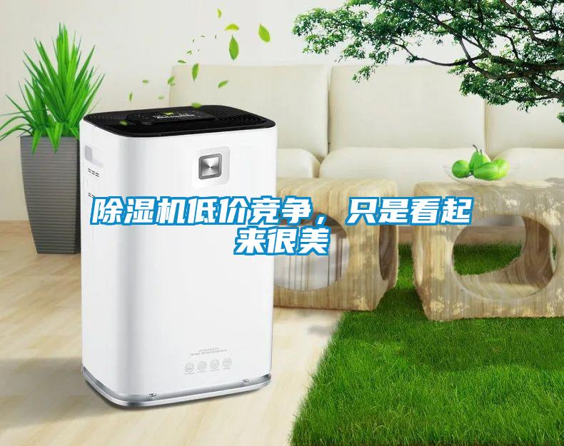 樱桃TV在线观看机低价竞争，只是看起来很美