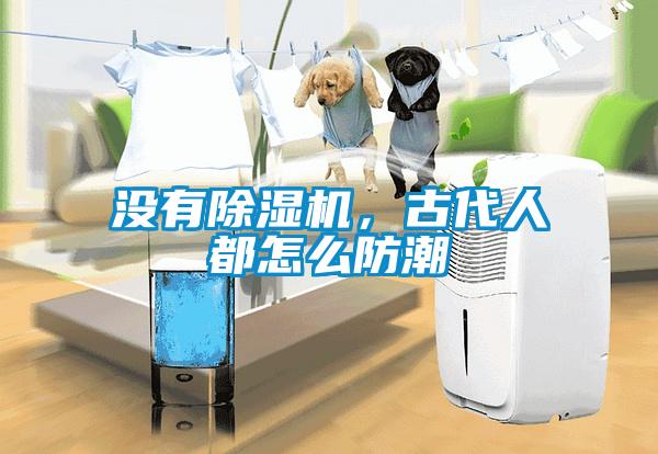 没有樱桃TV在线观看机，古代人都怎么防潮
