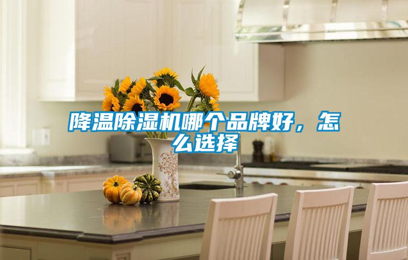 降温樱桃TV在线观看机哪个品牌好，怎么选择