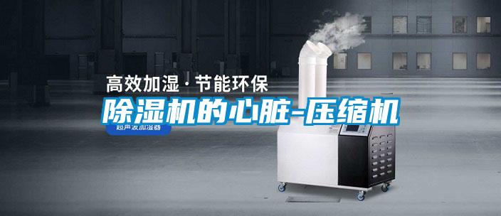 樱桃TV在线观看机的心脏-压缩机