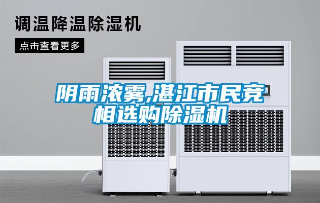 阴雨浓雾,湛江市民竞相选购樱桃TV在线观看机