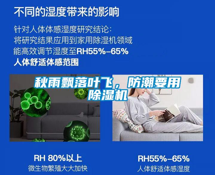 秋雨飘落叶飞，防潮要用樱桃TV在线观看机