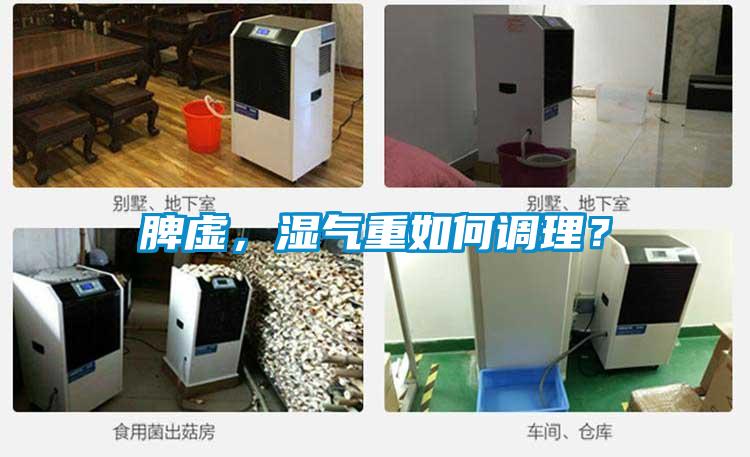 脾虚，湿气重如何调理？