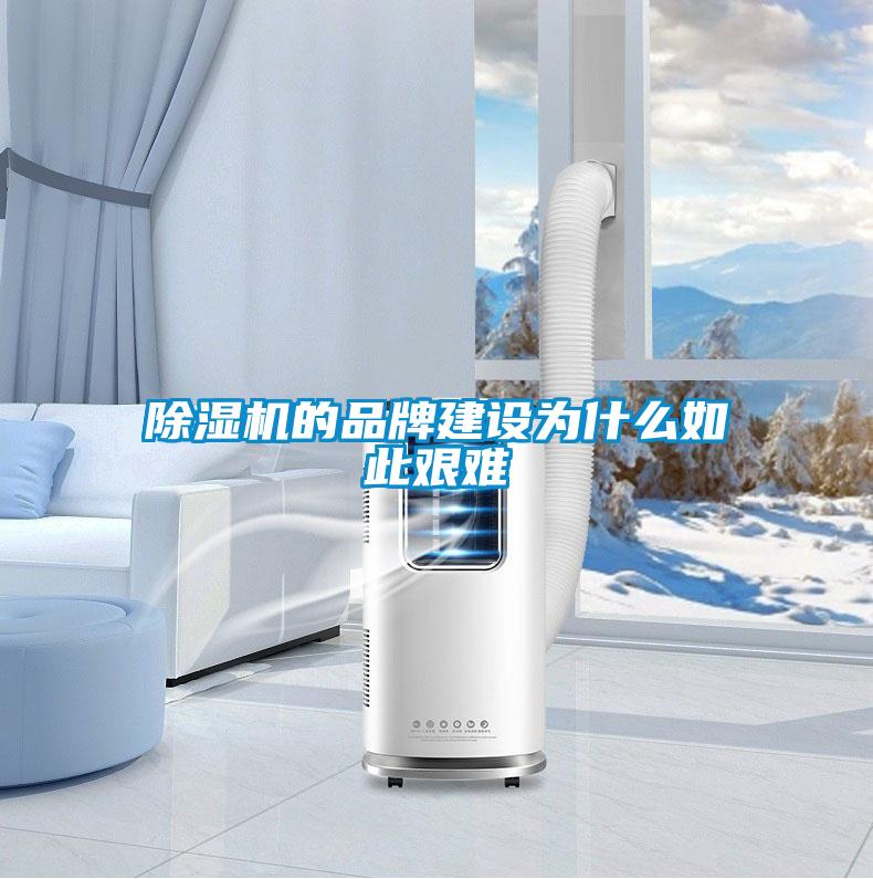 樱桃TV在线观看机的品牌建设为什么如此艰难
