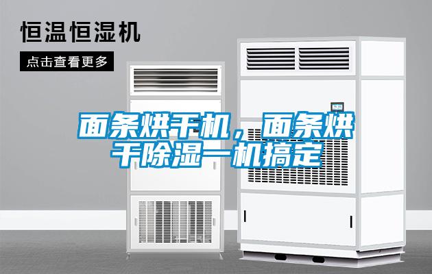 面条烘干机，面条烘干樱桃TV在线观看一机搞定