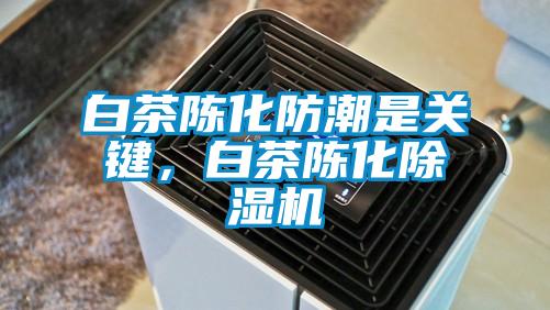 白茶陈化防潮是关键，白茶陈化樱桃TV在线观看机