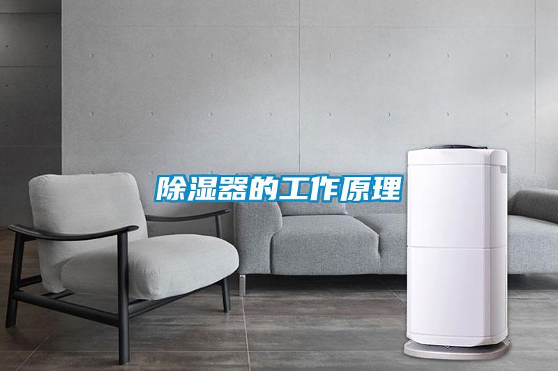 樱桃TV在线观看器的工作原理