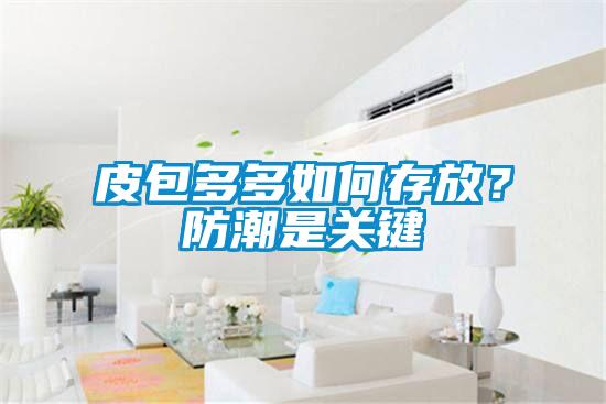 皮包多多如何存放？防潮是关键