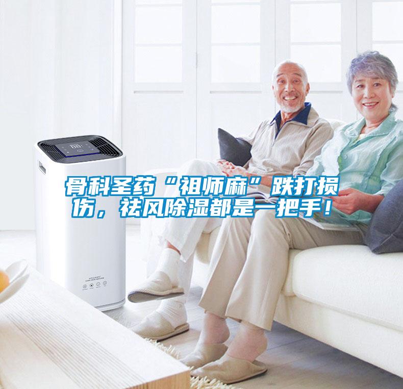 骨科圣药“祖师麻”跌打损伤，祛风樱桃TV在线观看都是一把手！