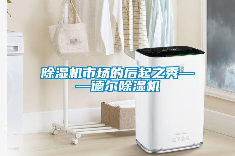 樱桃TV在线观看机市场的后起之秀——德尔樱桃TV在线观看机