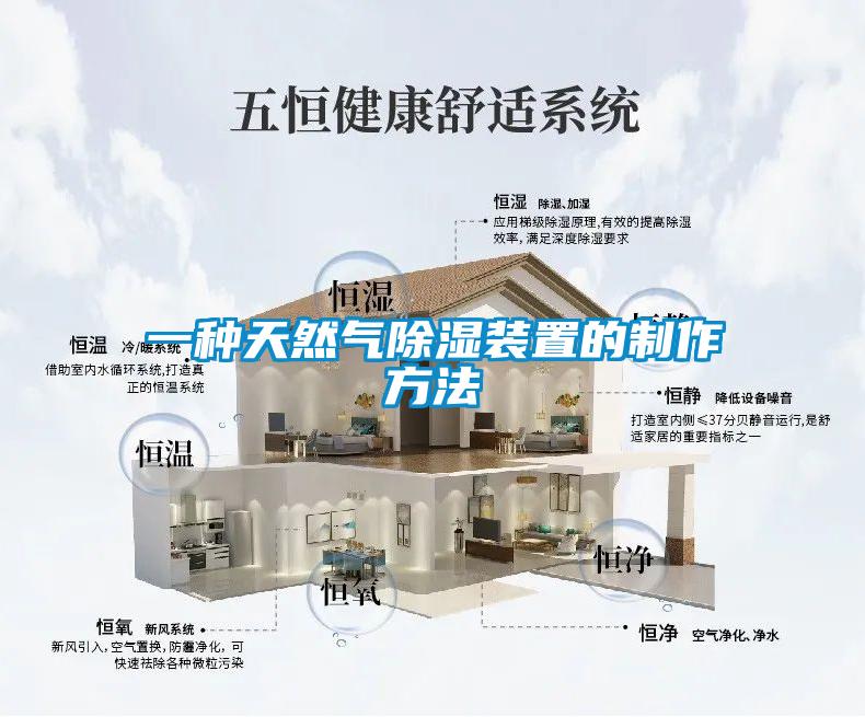 一种天然气樱桃TV在线观看装置的制作方法