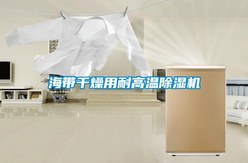 海带干燥用耐高温樱桃TV在线观看机