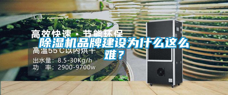 樱桃TV在线观看机品牌建设为什么这么难？