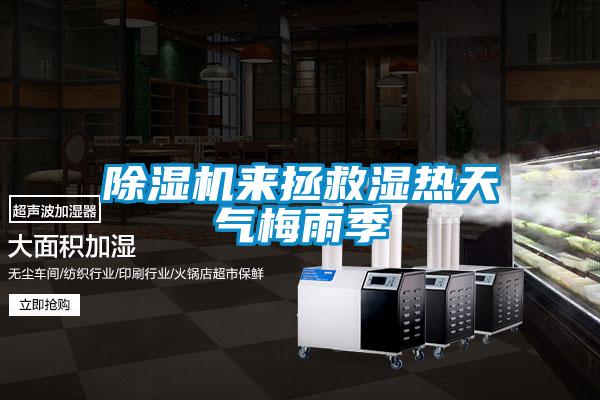 樱桃TV在线观看机来拯救湿热天气梅雨季