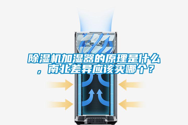 樱桃TV在线观看机加湿器的原理是什么，南北差异应该买哪个？