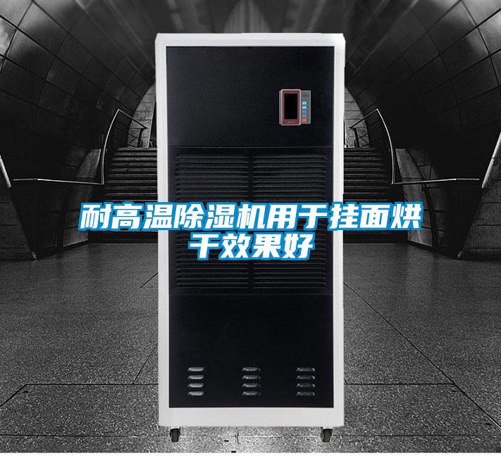 耐高温樱桃TV在线观看机用于挂面烘干效果好