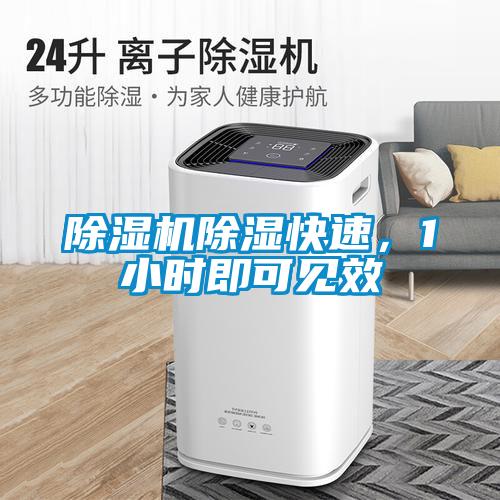樱桃TV在线观看机樱桃TV在线观看快速，1小时即可见效