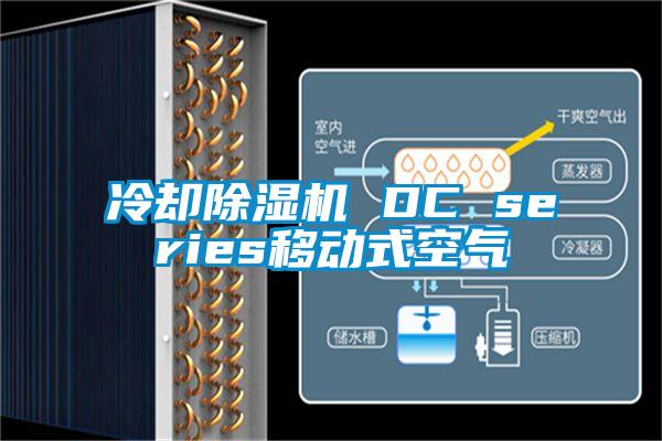 冷却樱桃TV在线观看机 DC series移动式空气