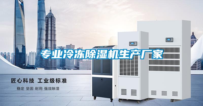 专业冷冻樱桃TV在线观看机生产厂家