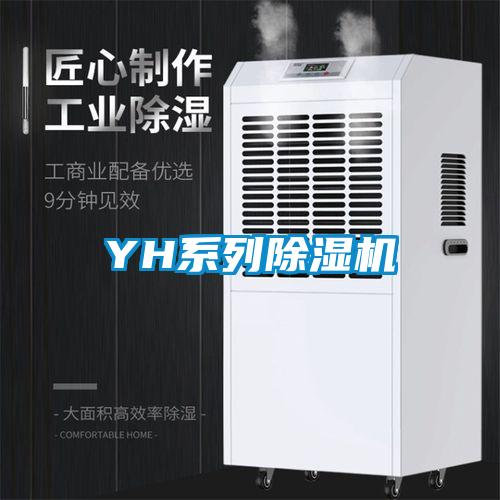 YH系列樱桃TV在线观看机
