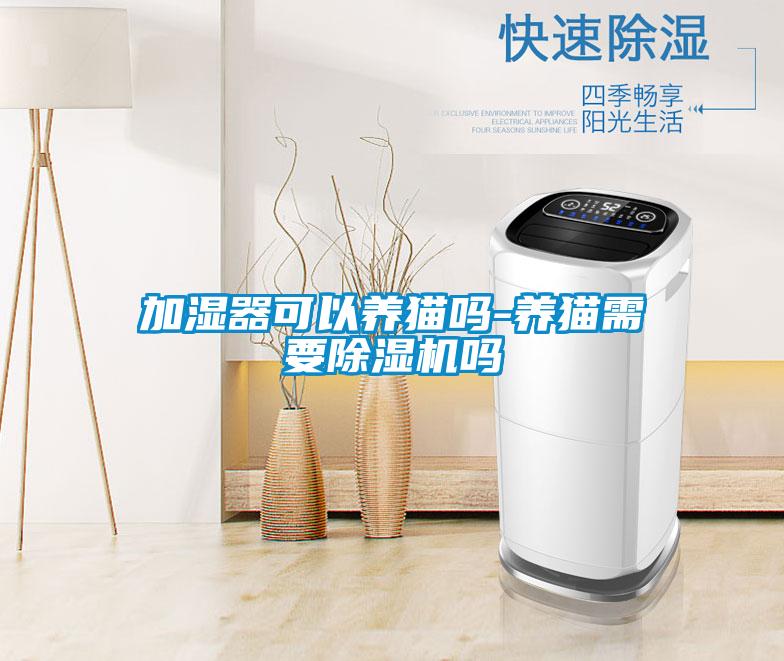 加湿器可以养猫吗-养猫需要樱桃TV在线观看机吗