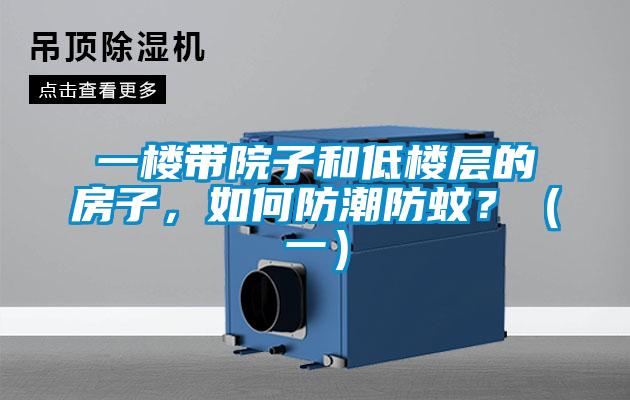 一楼带院子和低楼层的房子，如何防潮防蚊？（一）