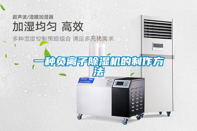 一种负离子樱桃TV在线观看机的制作方法