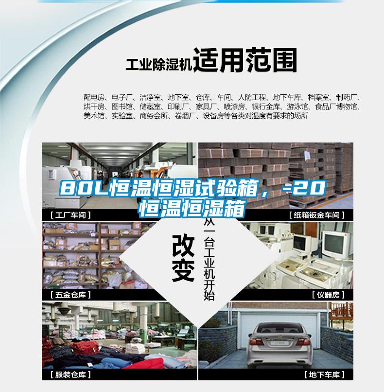 80L恒温恒湿试验箱，-20℃恒温恒湿箱