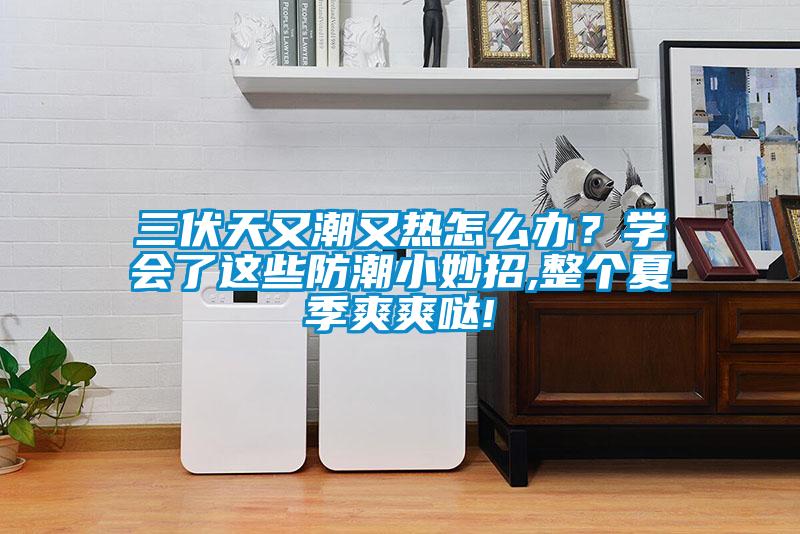 三伏天又潮又热怎么办？学会了这些防潮小妙招,整个夏季爽爽哒!