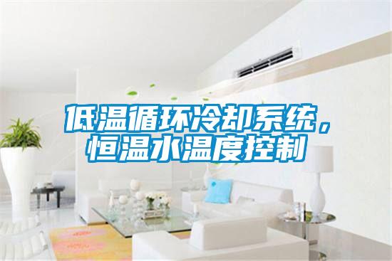 低温循环冷却系统，恒温水温度控制