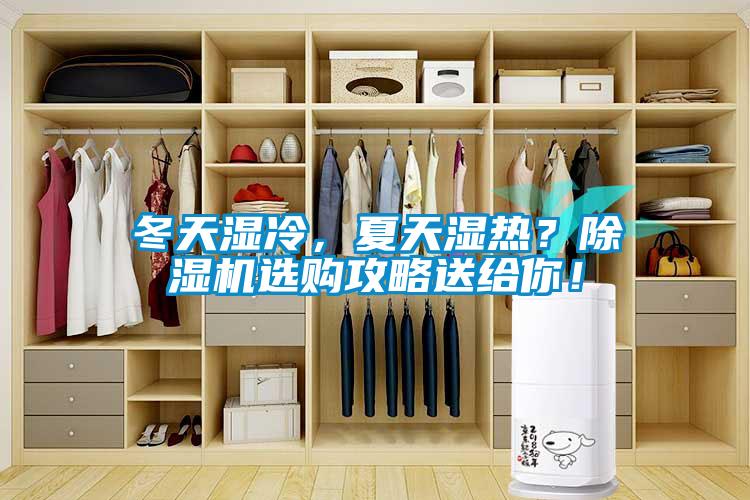 冬天湿冷，夏天湿热？樱桃TV在线观看机选购攻略送给你！