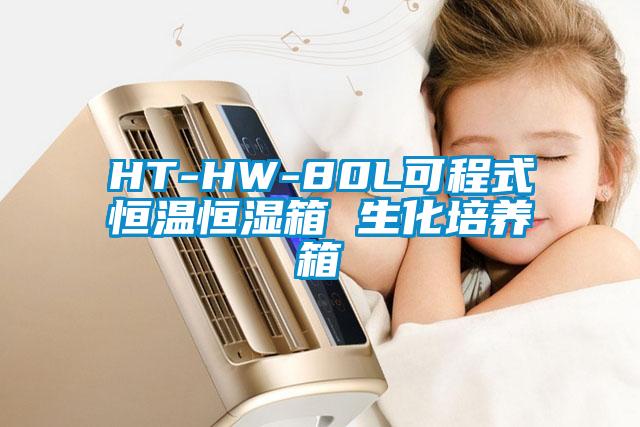 HT-HW-80L可程式恒温恒湿箱 生化培养箱