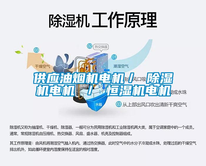 供应油烟机电机／ 樱桃TV在线观看机电机 ／ 恒湿机电机