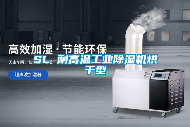 SL 耐高温工业樱桃TV在线观看机烘干型