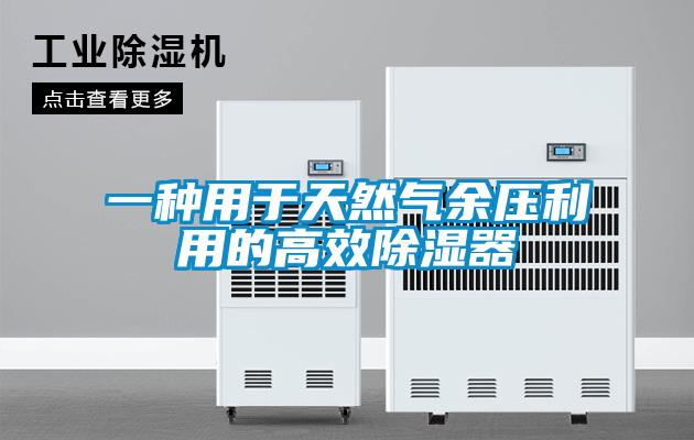 一种用于天然气余压利用的高效樱桃TV在线观看器