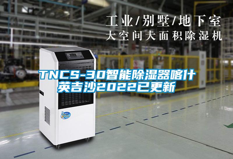 TNCS-30智能樱桃TV在线观看器喀什英吉沙2022已更新