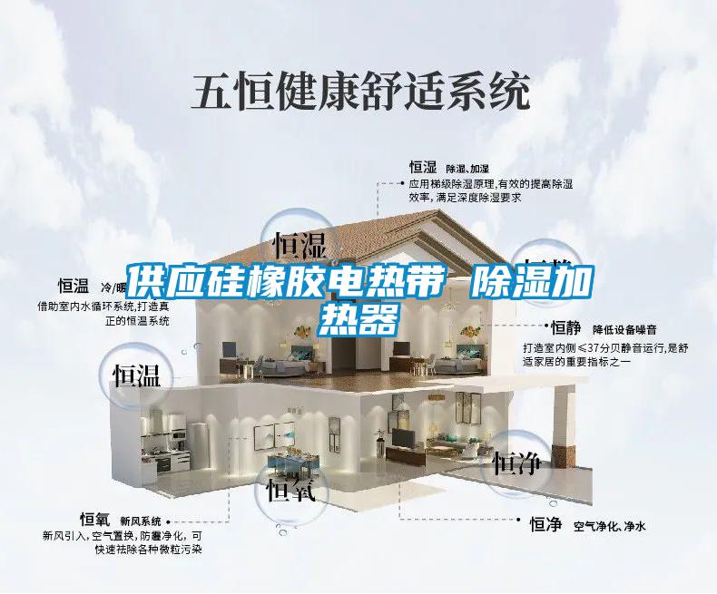 供应硅橡胶电热带 樱桃TV在线观看加热器