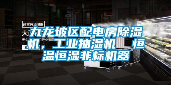 九龙坡区配电房樱桃TV在线观看机，工业抽湿机  恒温恒湿非标机器