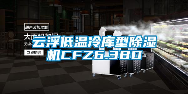 云浮低温冷库型樱桃TV在线观看机CFZ6.3BD