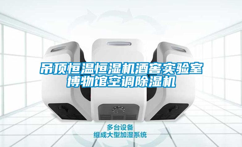 吊顶恒温恒湿机酒窖实验室博物馆空调樱桃TV在线观看机