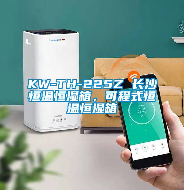 KW-TH-225Z 长沙恒温恒湿箱，可程式恒温恒湿箱