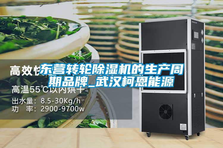 东营转轮樱桃TV在线观看机的生产周期品牌_武汉柯恩能源