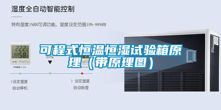 可程式恒温恒湿试验箱原理（带原理图）