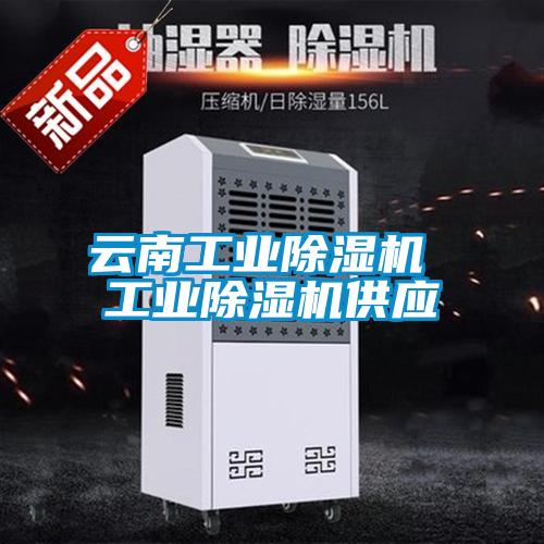 云南工业樱桃TV在线观看机 工业樱桃TV在线观看机供应